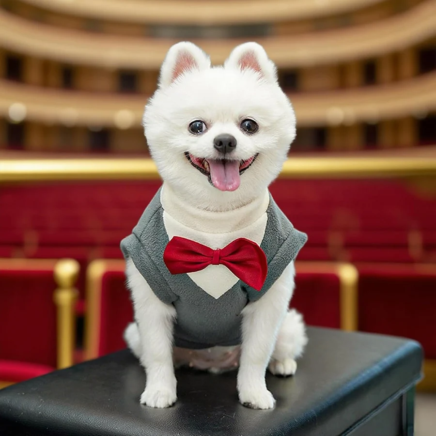Ropa de esmoquin para perros, disfraz Formal con lazo de invierno para novio, traje de fiesta de deshierbe cálido para perros pequeños, suéter de perro salchicha - imagen 4