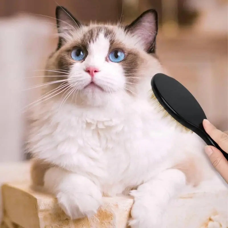 Cepillo de alfiler de aseo para perros, cepillos para gatos de interior, cepillo para gatos, peine para gatitos, masaje para cachorros, elimina esteras - imagen 3