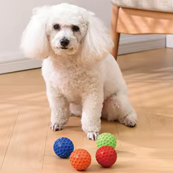 Juguetes indestructibles para perros – Pelotas de goma masticables