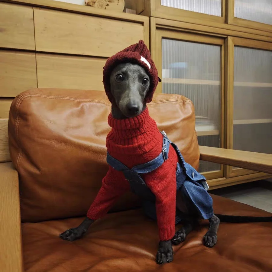 Galgo italiano vendido Color Sombrero de lana tejido a mano en invierno Decoración de cabeza de perro Whippet de primavera Sombrero cálido para mascotas con orejas expuestas - imagen 4