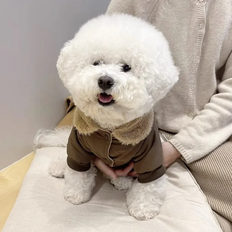 Chaqueta con estampado de oso para perro, abrigo cálido de felpa para perro, chaqueta acolchada de invierno para cachorro, abrigo suave a la moda para gato, disfraz de mascota de peluche para caniche - imagen 5