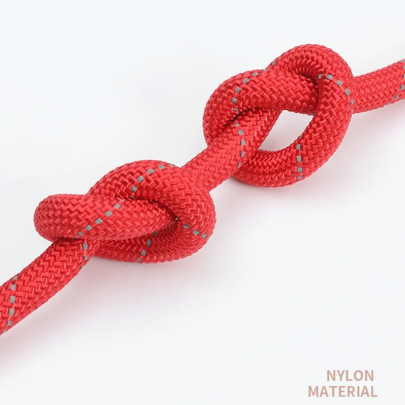 Correa de nailon reflectante para perros, Collar de entrenamiento para cachorros, suministros para mascotas - imagen 5