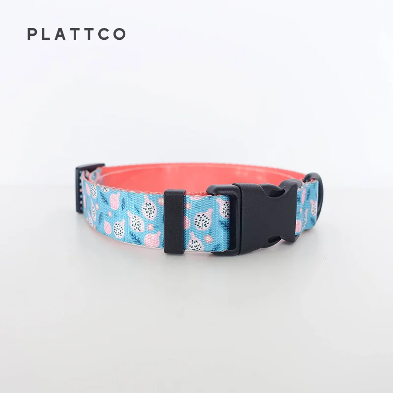 PLATTCO color de PITAYA TEASE desgarrado rápidamente perro pajarita collar correa conjunto teddy bichon pequeño 5 tamaños PDC323 - imagen 5