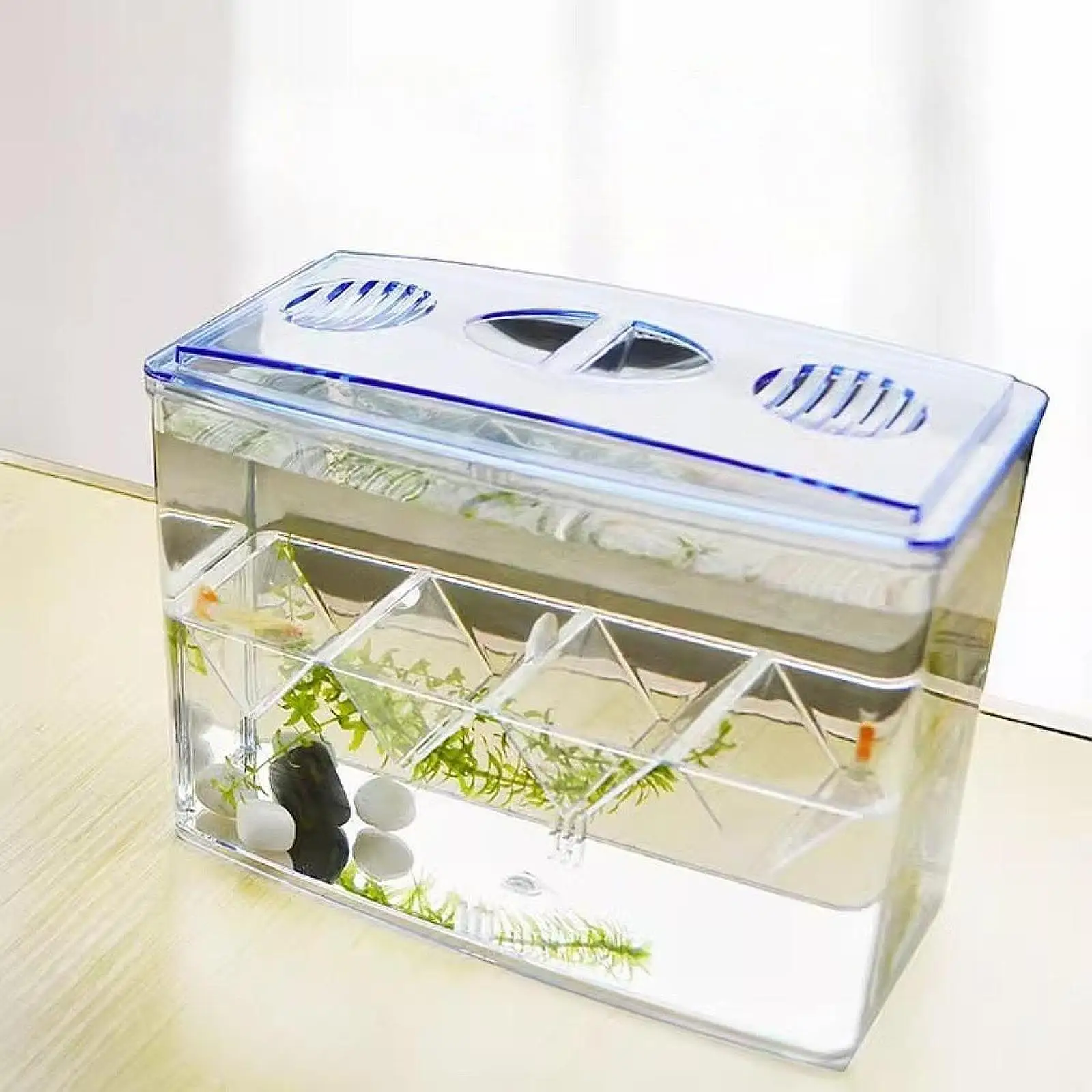 Breeder Box Easy Use Multifunction Sturdy Fish Isolation Box for Baby Fishes