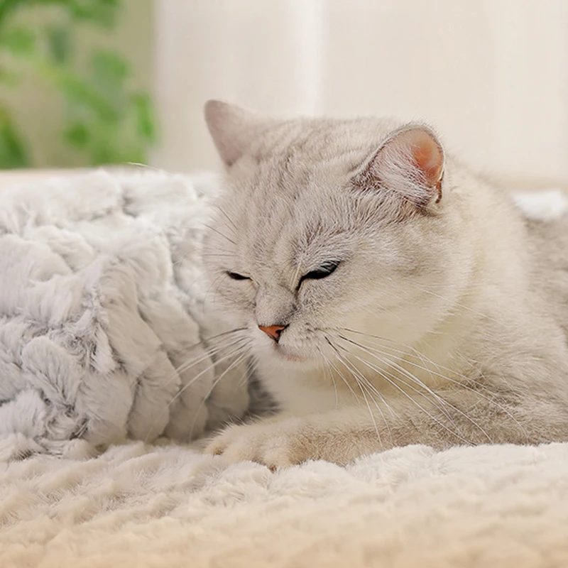 Sofá cálido de invierno para perros, cama para dormir extraíble y lavable para perros, estera para dormir suave y cómoda para gatos, perros pequeños y medianos - imagen 5