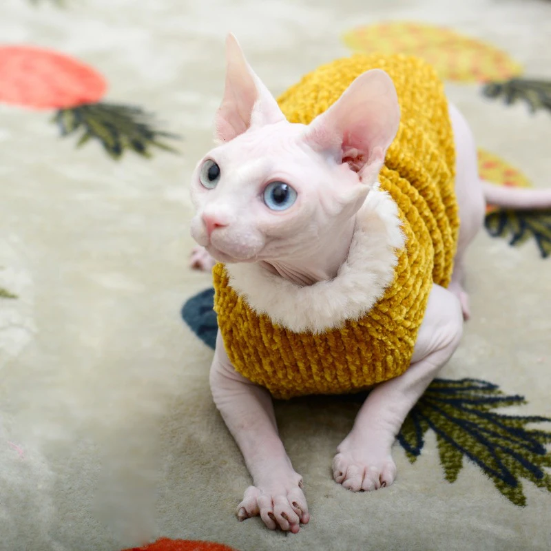 Devon Rex-abrigo de felpa grueso, suéter de gato, disfraz de Sphynix, ropa Katten Sphynx, jersey, productos de ropa para prendas de vestir de invierno - imagen 3