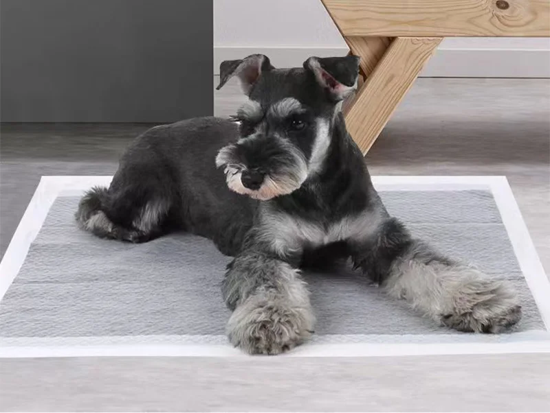 Almohadilla pawstrip con tecnología de secado rápido
