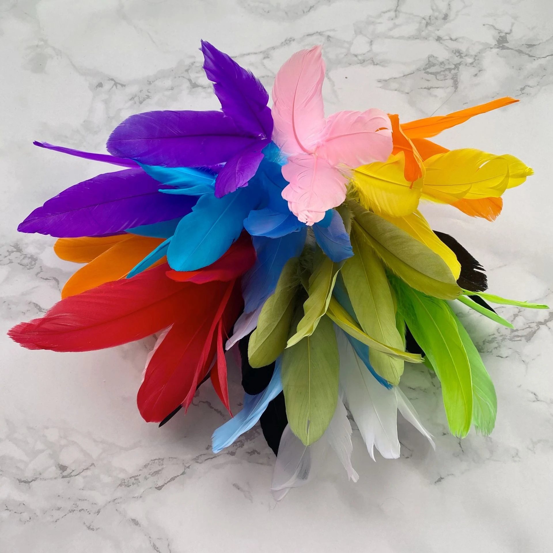 Cabezales con plumas para varita interactiva de gato – Recambios - imagen 4