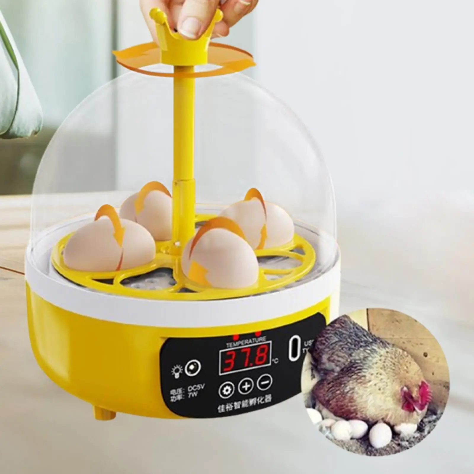 Smart Egg Incubator Science and Education Clear Top Cover Egg Hatcher Digital Poultry Poultry Hatcher Egg Hatching for Quail
