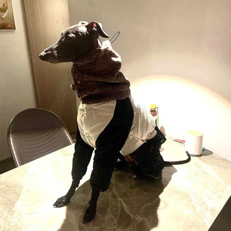 Moda Italia pequeño galgo chaqueta cálida de invierno Material de calefacción grueso cálido ropa Whippet abrigo a prueba de viento para perros