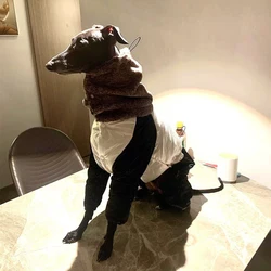 Chaqueta Abrigada para Galgos Italianos y Whippets - Impermeable y Cálida