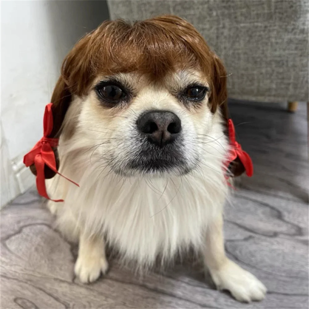 Divertido sombrero de peluca para mascotas para perros pequeños, gatos, Bulldog Francés, Chihuahua, accesorios para el cabello para cachorros, suministros para mascotas, accesorios para perros - imagen 4