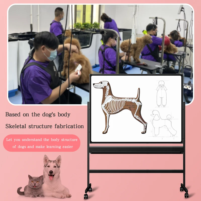 Imagen de esqueleto magnético para mascotas, imagen de pared para enseñar a perros, Escuela de esteticista para mascotas - imagen 4