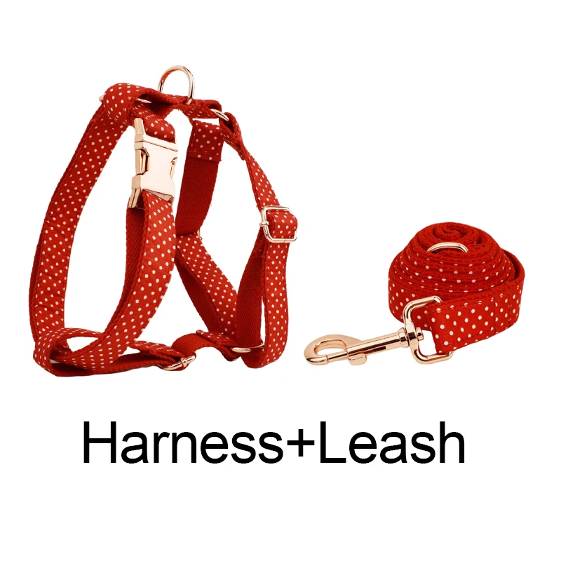 Harness   leash