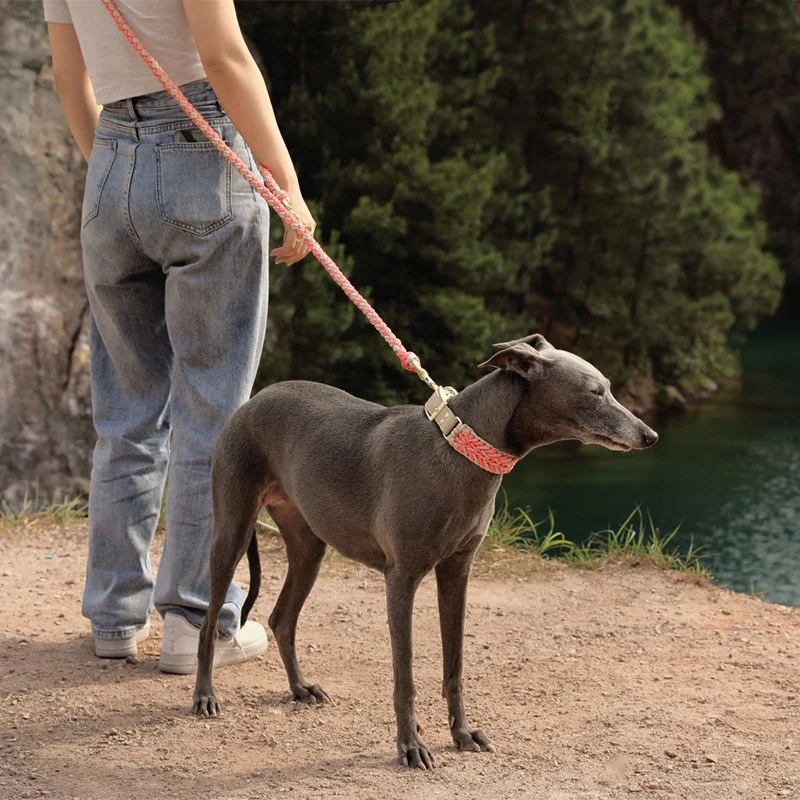 Collar de cuero tejido a mano para mascotas, conjunto de correa, Collar de perro a rayas multicolor, Collar de perro trenzado suave y ajustable con hebilla de Metal - imagen 2