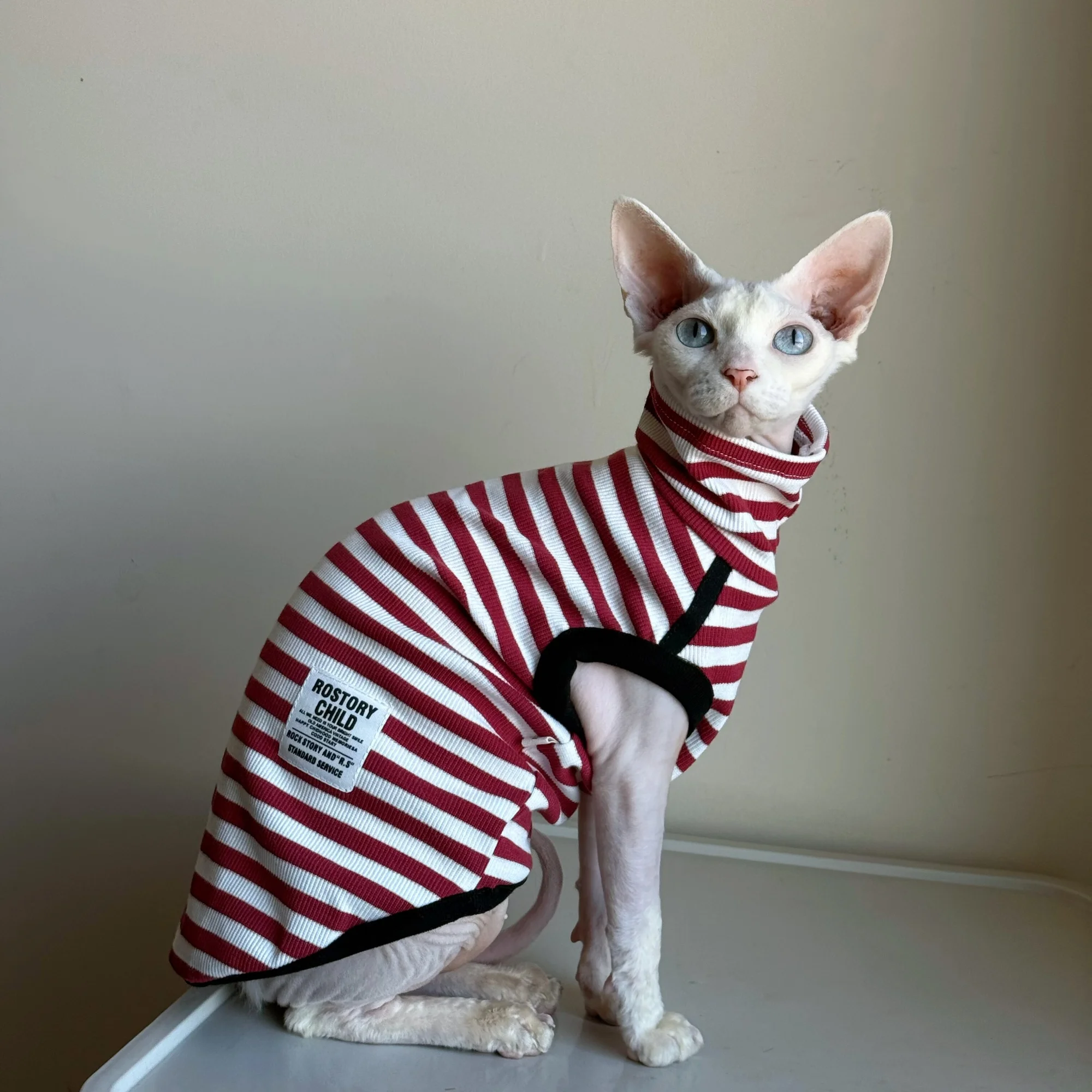Camiseta cuello alto para gatos Sphynx y Devon Rex – Rojo y negro - imagen 2