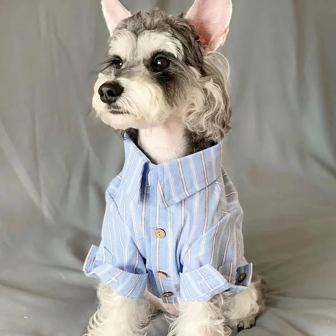 Clothes for Dogs Summer Doggy Shirt Apparel Pets Dog Puppy Spring Clothing Pet Shirts Blouse Supplies Products - imagen 2