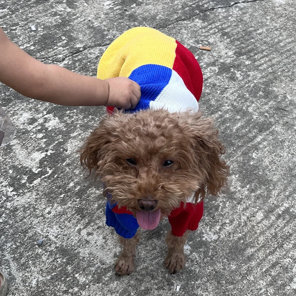 Suéter para perros empalmados de cuatro colores, ropa para mascotas de otoño e invierno para perros pequeños, ropa para cachorros de perro salchicha Yorkshire, ropa para cachorro - imagen 5