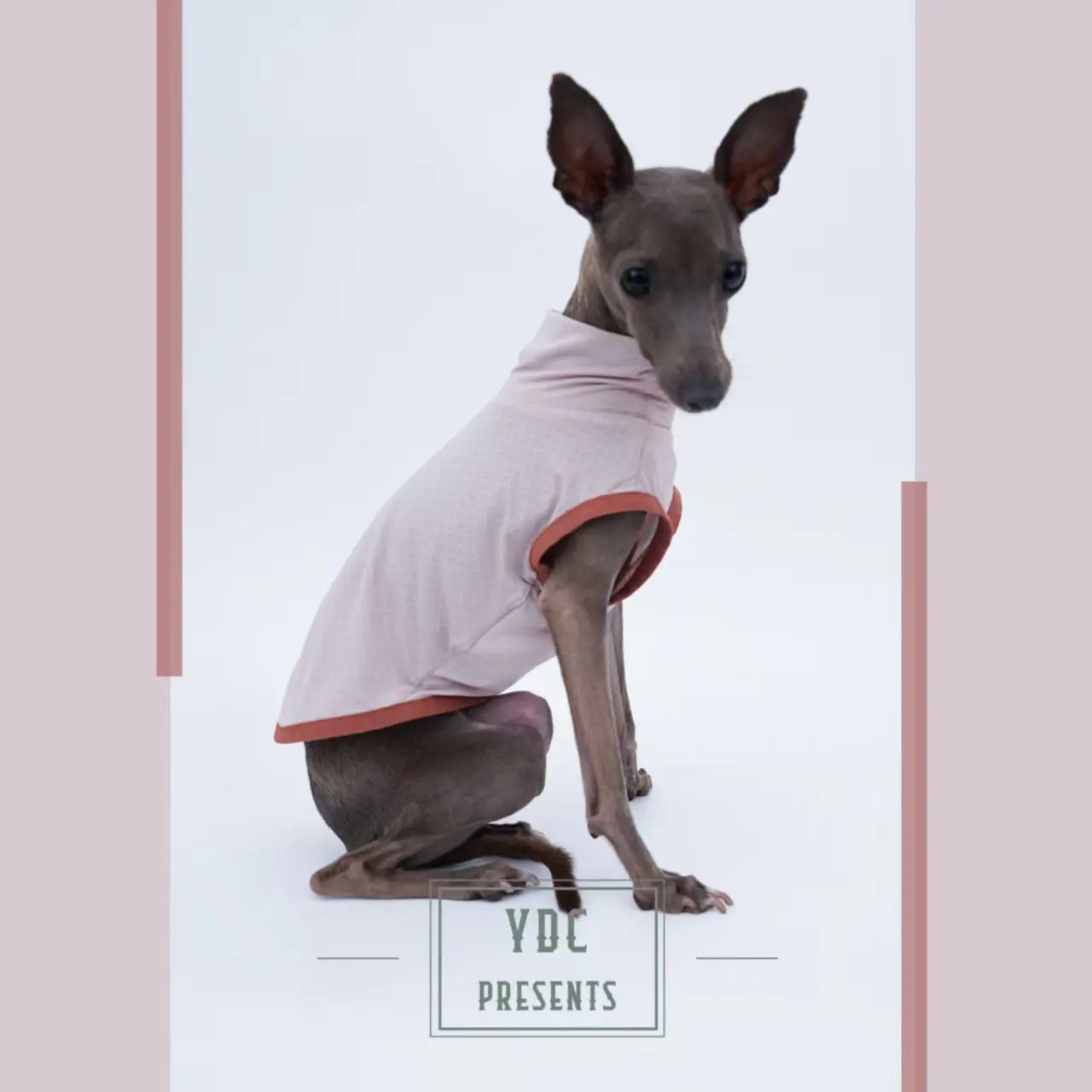 Ropa de galgo italiano, chaleco para perro de sensación fresca de verano, ultrasuave, transpirable, ligero, de alta elasticidad, deportivo para perros - imagen 3
