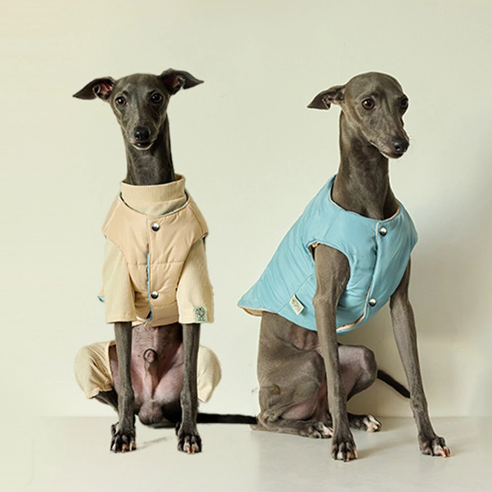 Chaqueta de invierno de galgo pequeño italiano, chaleco grueso cálido con botones en blanco y azul, ropa de Whippet a la moda, abrigo a prueba de viento para perros