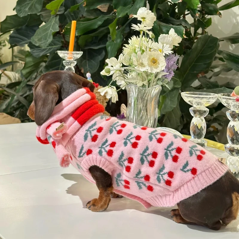 Ropa dulce para perros salchicha en invierno, suéter Floral rosa para perros Wiener femeninos, abrigo cálido de manga corta para perros tejón - imagen 4