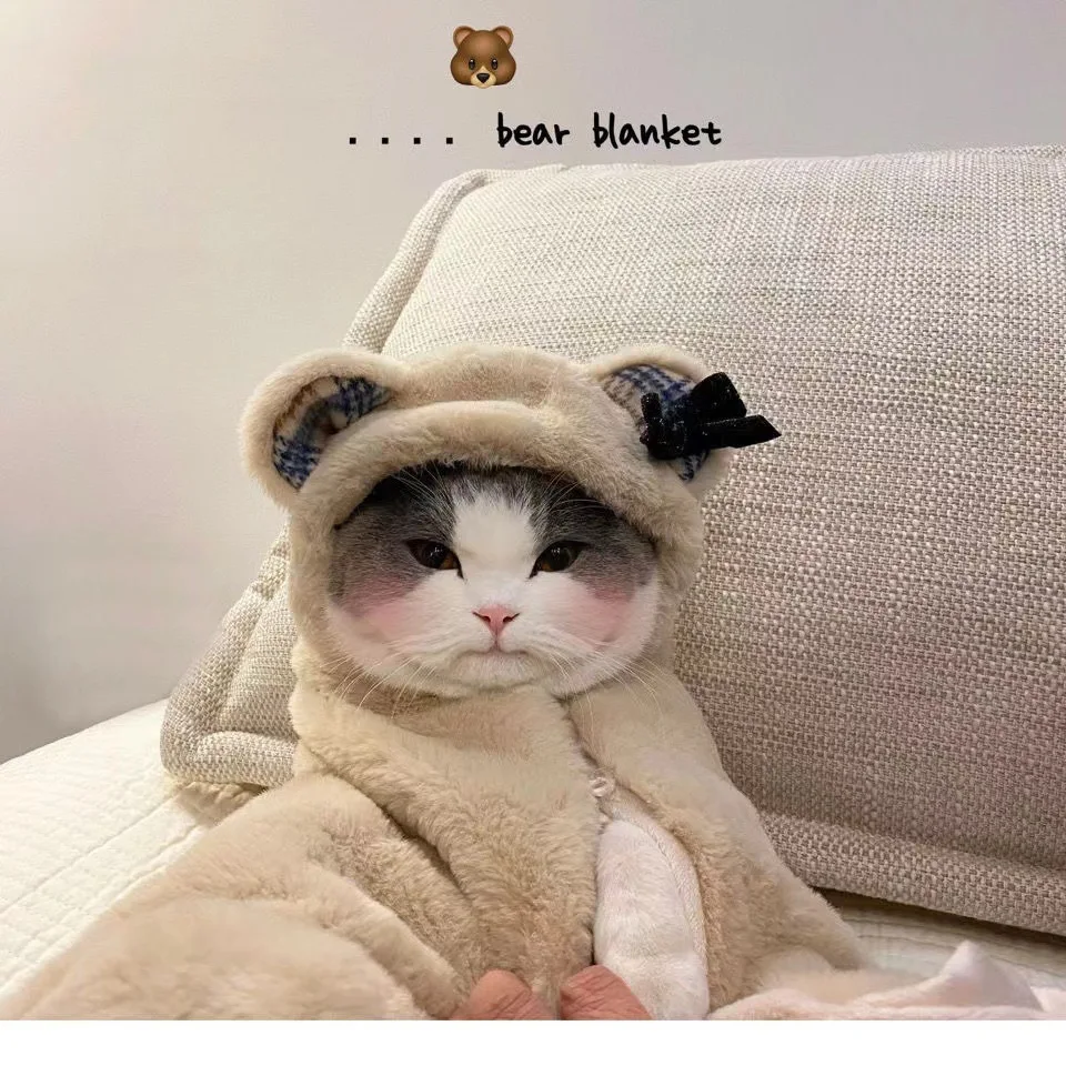 Manta de felpa para perros y gatos, manta bonita de osito, capa cálida para otoño e invierno, ropa para perros pequeños, ropa para cachorros - imagen 2