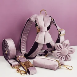 Collar y correa de terciopelo morado con placa grabada para perro