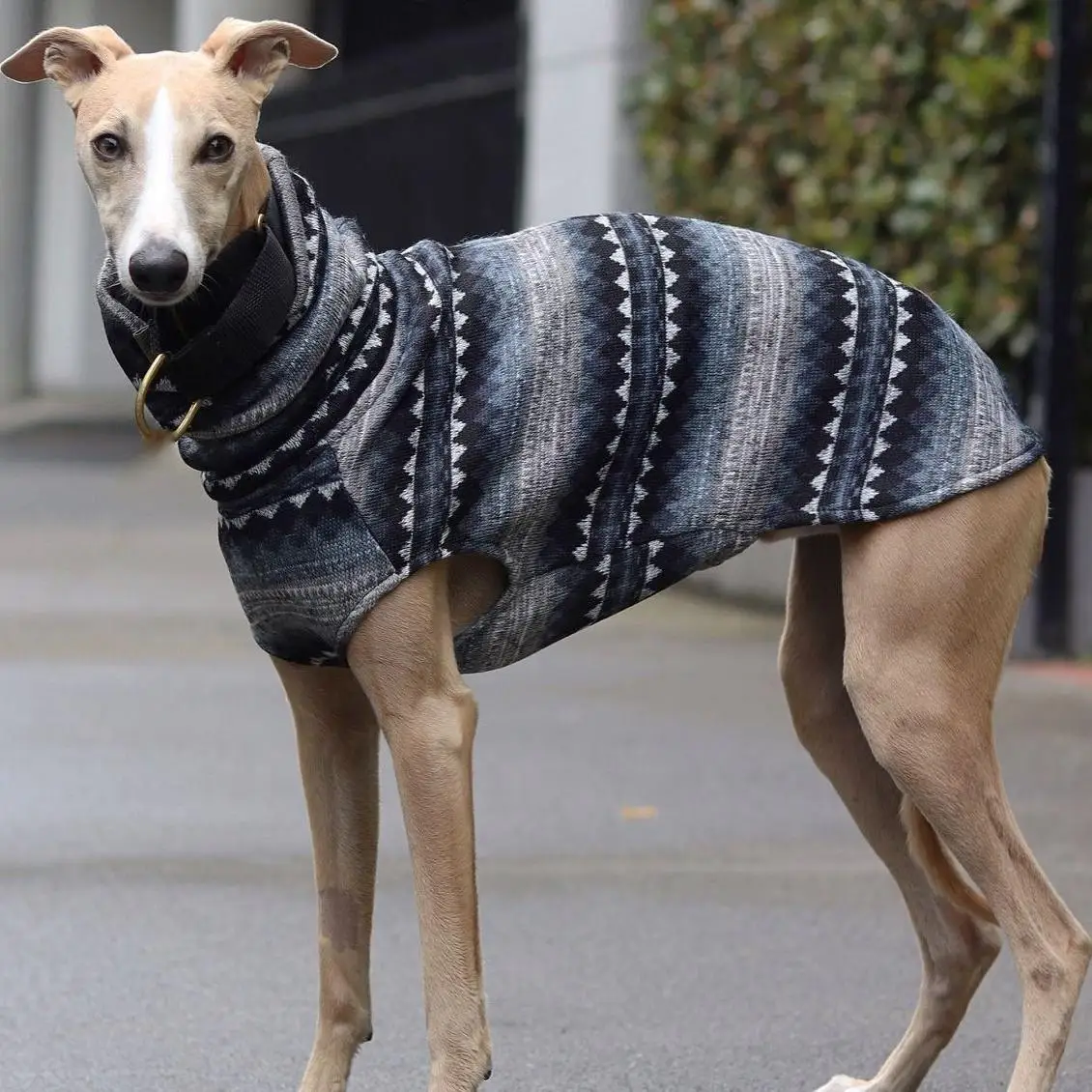 Chaleco Whippet de cuello alto de lana de invierno, ropa de estilo bohemio de galgo italiano, abrigo para perro, ropa de cama elástica suave