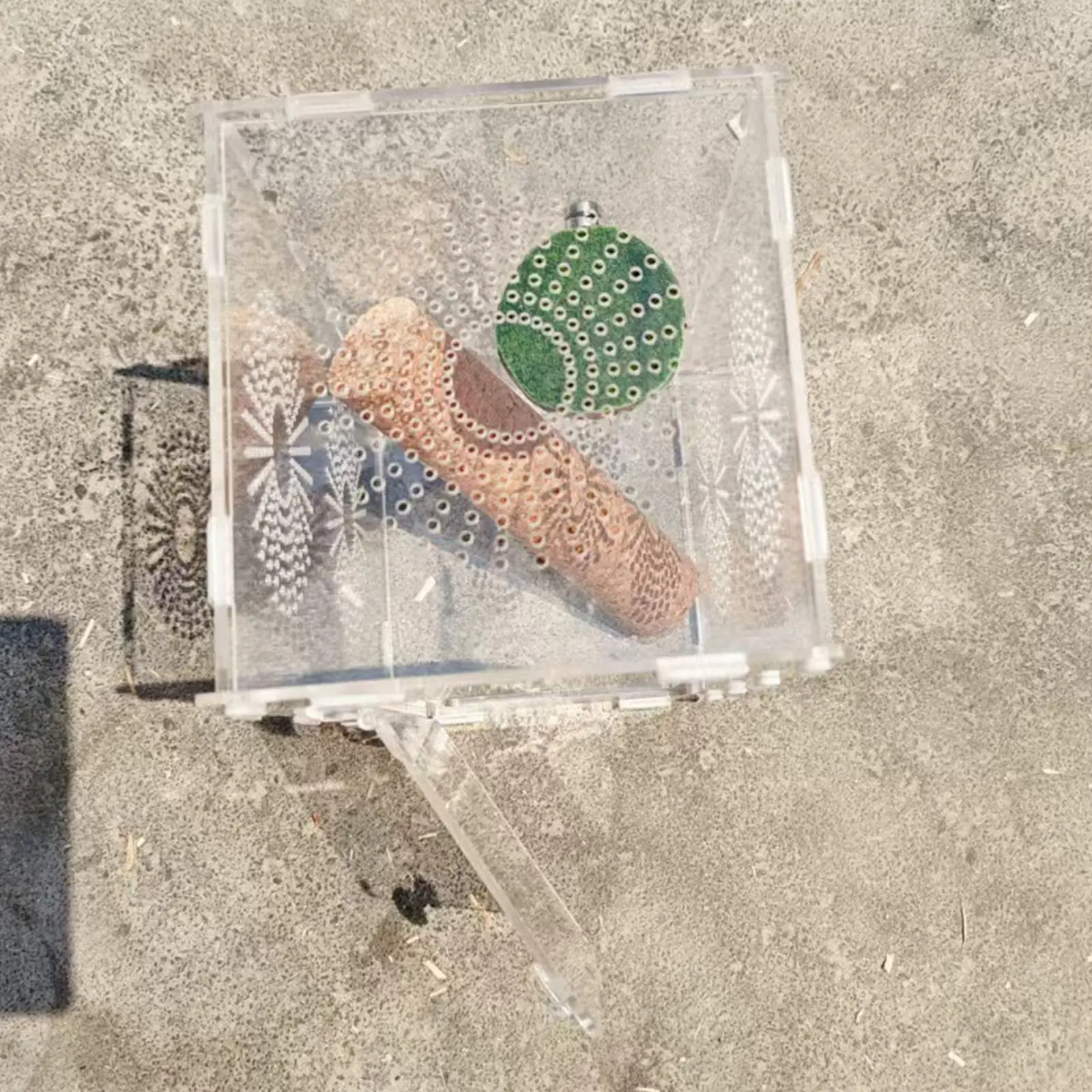 DIY Assembly Acrylic Small Reptile Terrarium Quick Installation Breeding Box