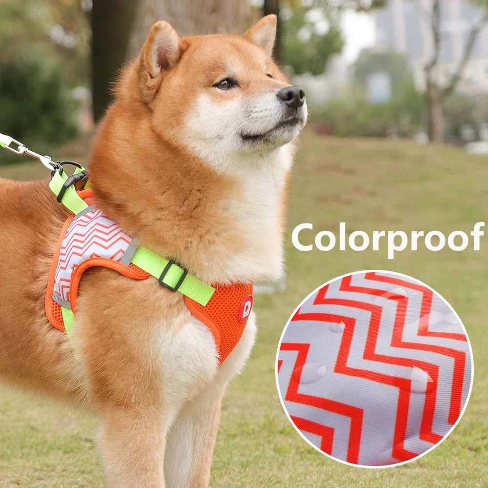 Arnés reflectante y transpirable para perro, conjunto de correa ajustable sin tirones, accesorios para cachorros y gatitos - imagen 2