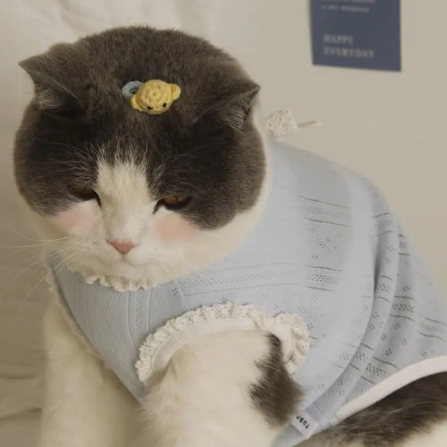 Chaleco con lazo para mascotas, ropa fina de algodón puro para perros y gatos, anticaída de pelo, ropa para cachorros, chaleco para perros - imagen 2