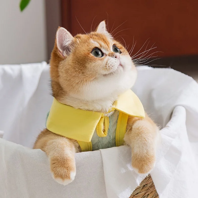 Breathable Thin Dog Polo Shirt Rabbit Button Dog Clothes Summer Puppy Vest Fashion Cat Sweatshirt Pet Pullover Chihuahua T-Shirt - imagen 3