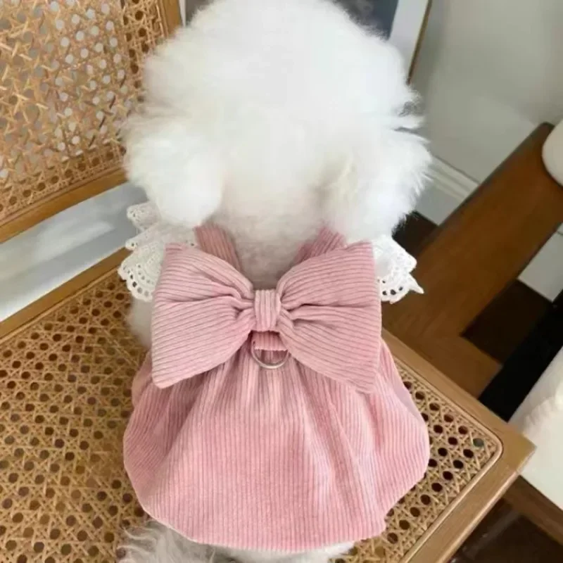 Ropa con lazo grande para mascotas, falda de calabaza de pana para otoño/invierno, falda de encaje a la moda con hebilla, vestidos para cachorros para perros pequeños - imagen 2