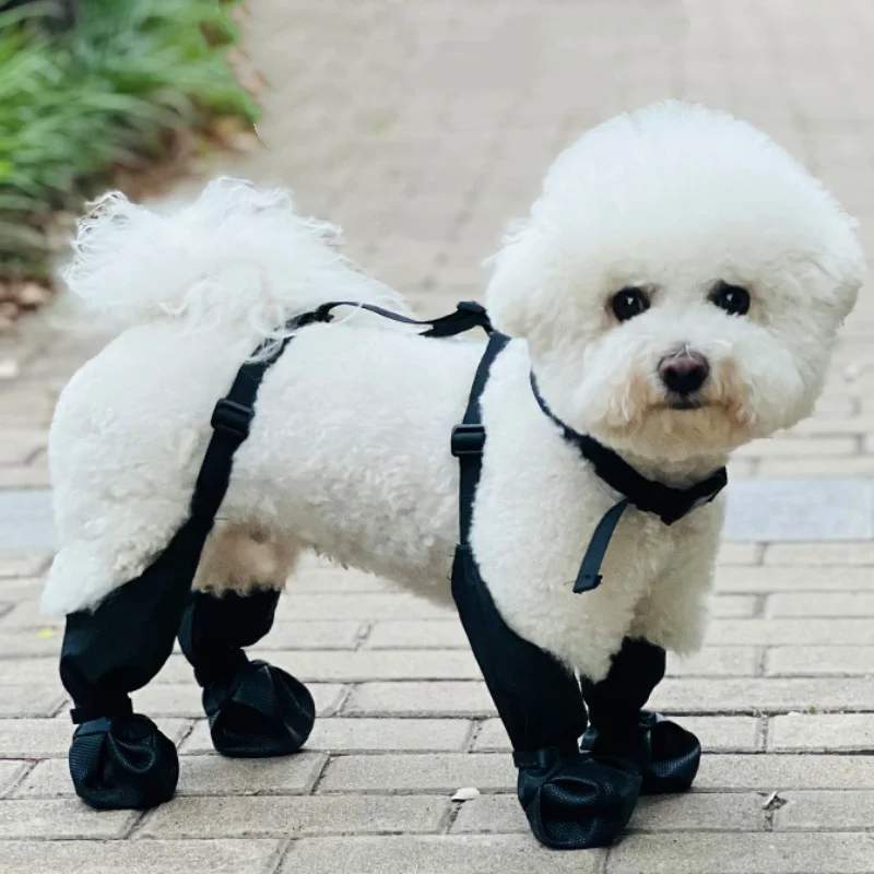 Botas impermeables antideslizantes perros para senderismo y lluvia - imagen 2
