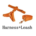 harness leash