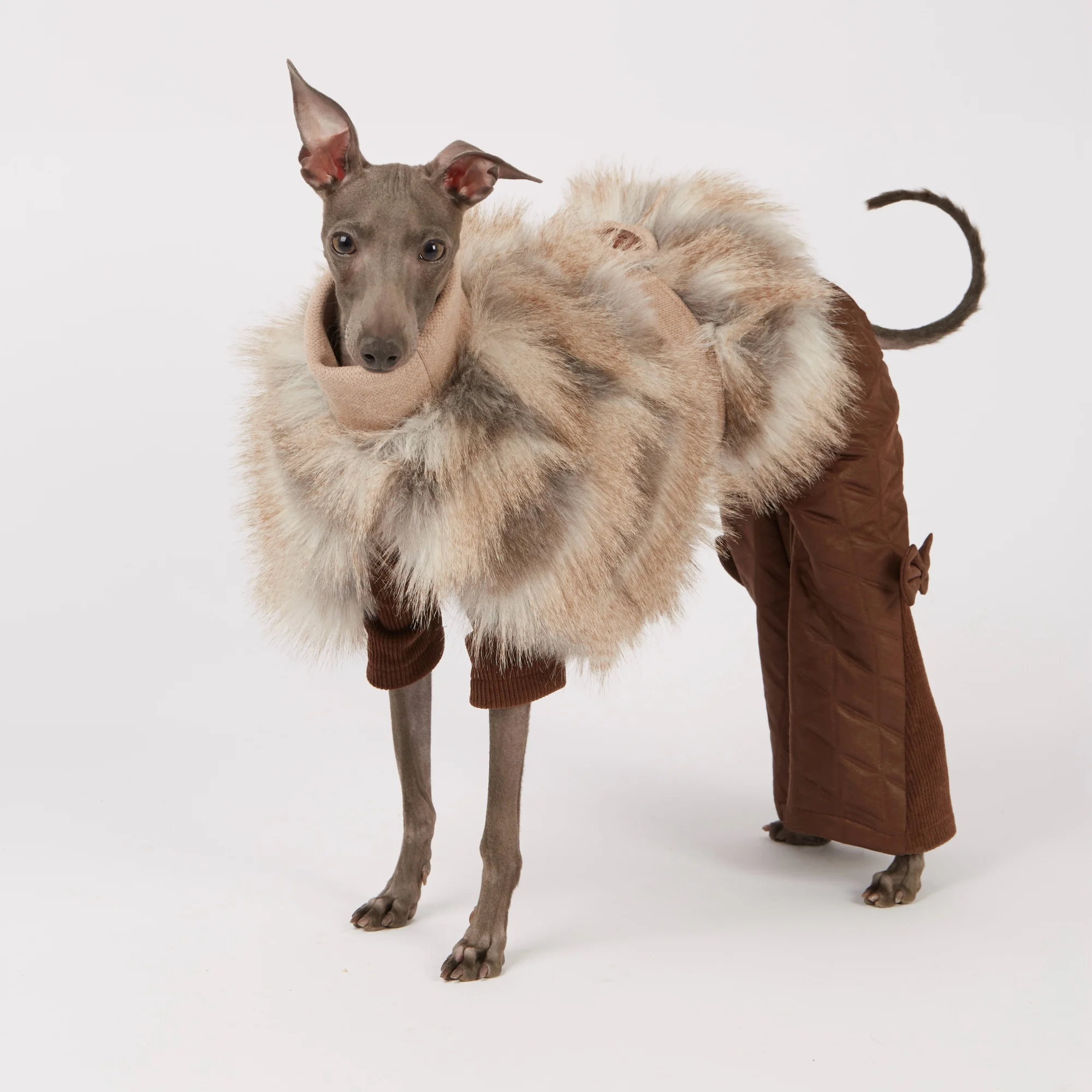 Abrigo de felpa gris para Whippet y Galgo Italiano