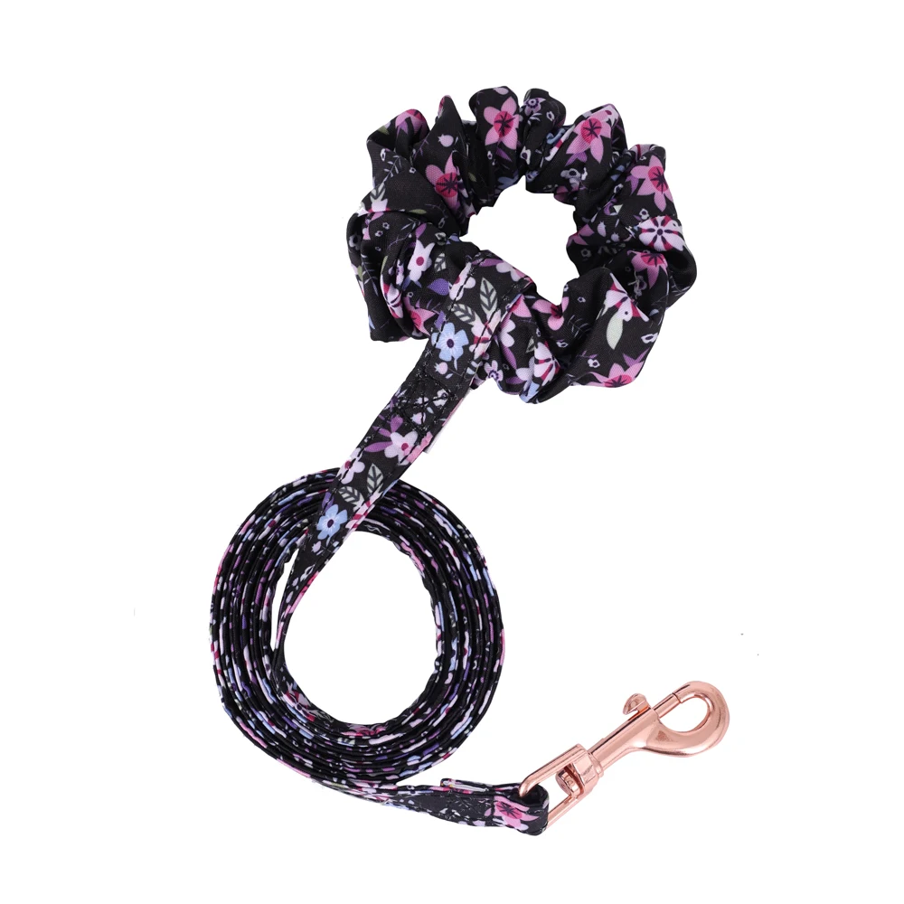 Purple leash