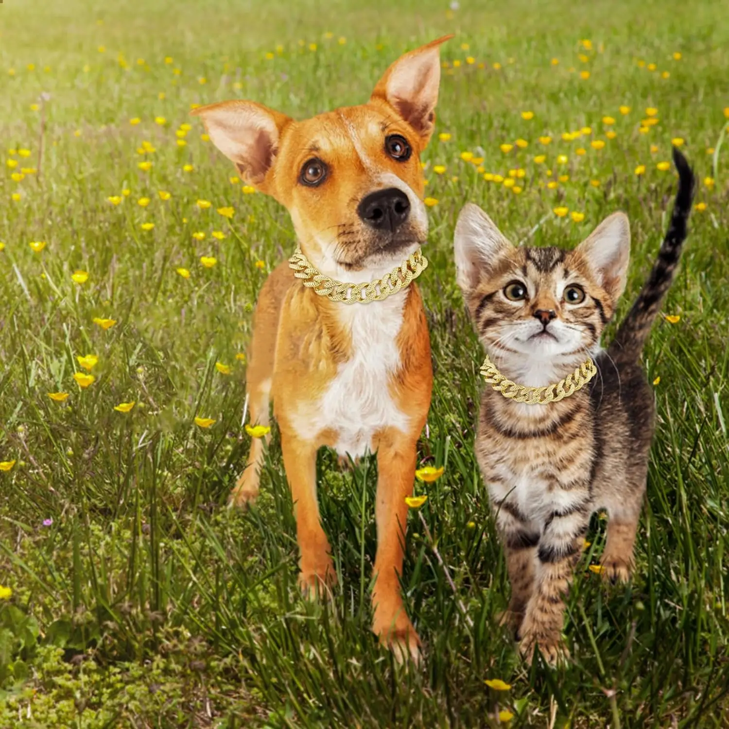 Collar de cadena para perro, Collar ajustable de plástico fresco para cachorro, joyería para perros pequeños y medianos, gatos, Bulldog, accesorios para mascotas - imagen 5