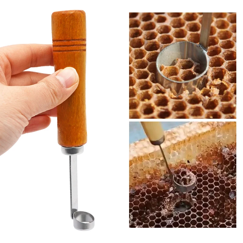 Limpiador de colmena de abejas, pala de miel, raspador para desmontar, marco de limpieza, cortador de panal, mango de madera, suministros de apicultura, herramientas de apicultor - imagen 3