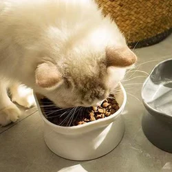 Comedero elevado 2 en 1 para gatos y perros - antivómitos plástico