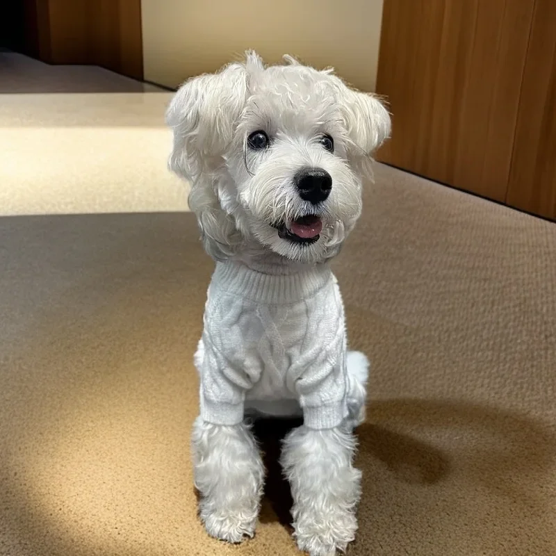 Otoño e Invierno nuevo suéter cálido de punto para mascotas de cuatro pies ropa para perros medianos y pequeños Corgi - imagen 2