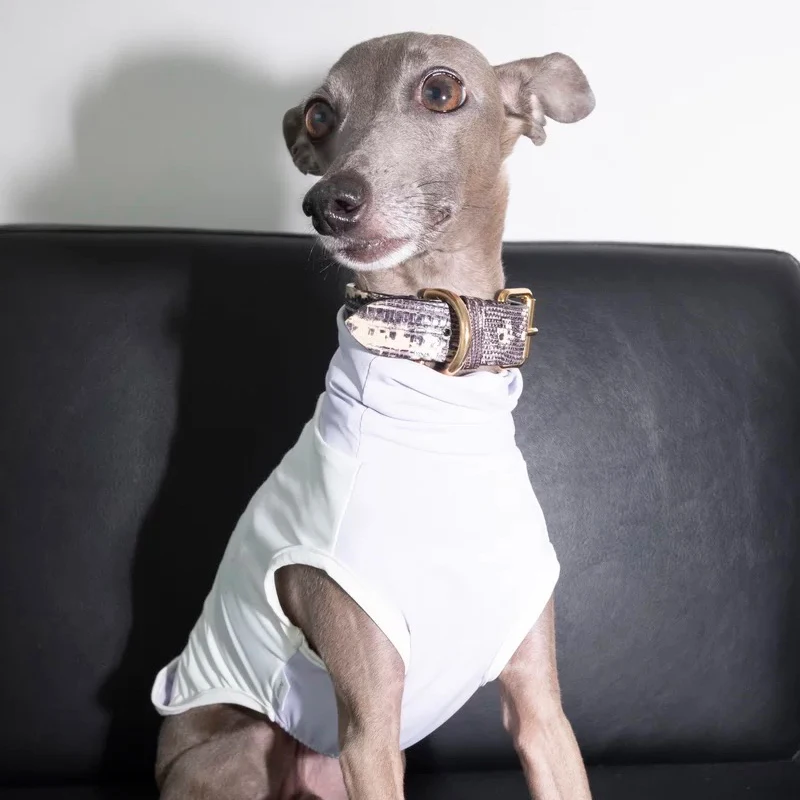 Mono de galgo italiano UPF50 +, ropa refrescante para perros a prueba de sol, primavera y verano, para perros pequeños Whipbit Terrier
