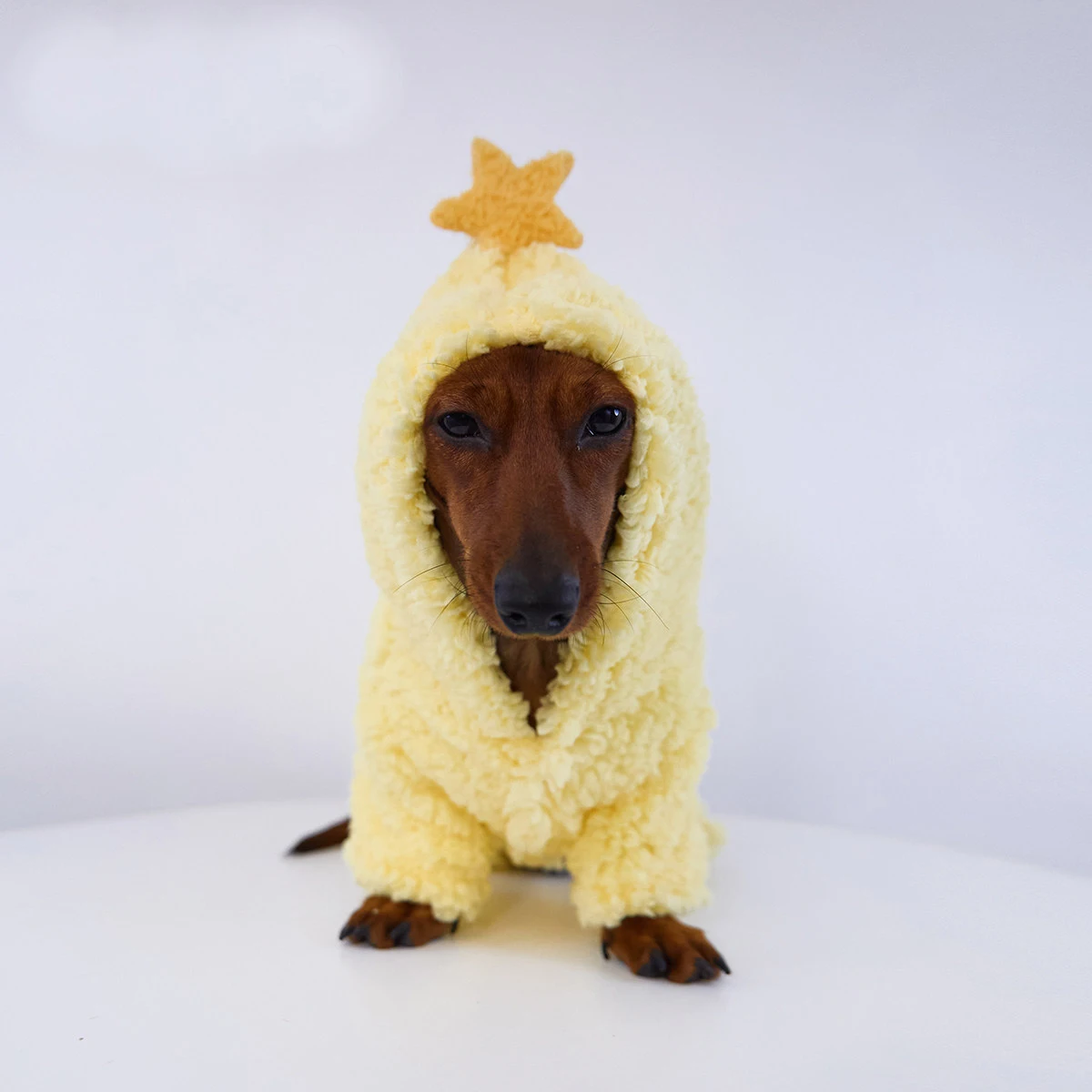 Suéter polar con capucha estrella para dachshund