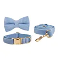 Bow Collar Leash Set
