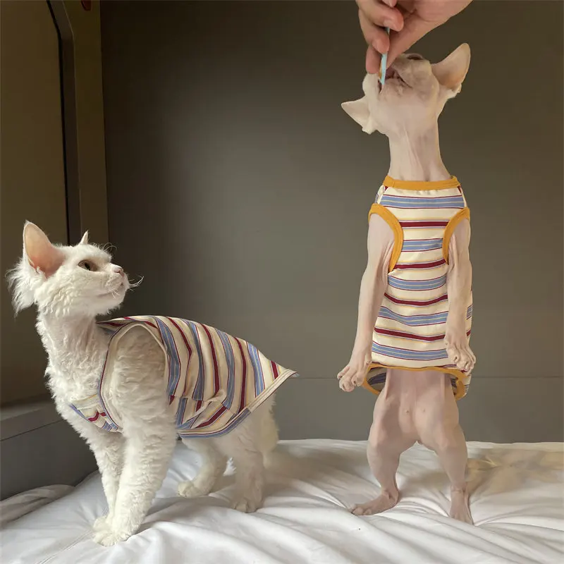 Camiseta ligera de verano para gatos sin pelo – Devon Rex y Sphynx - imagen 3