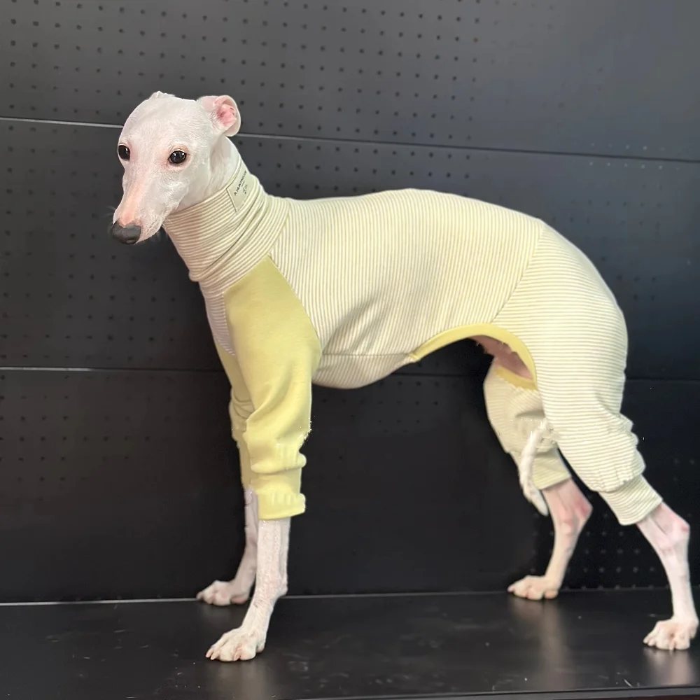 Mono de algodón pelado verde para perros, abrigo elástico de primavera de 4 patas para Bedlington Little Greyhound, pijamas de invierno de cuello alto - imagen 2