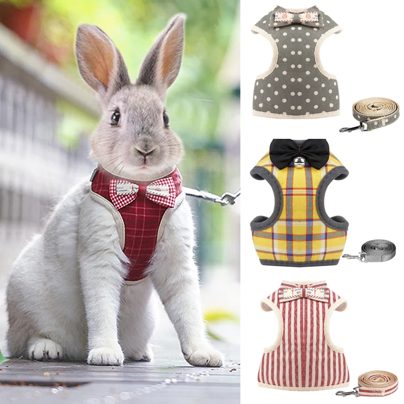 Arnés gentlemen - Vista principal del diseño elegante