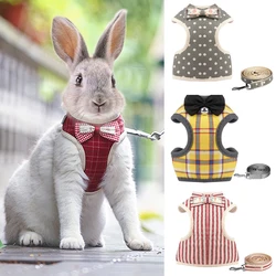 Arnés para gato Conejo Gentlemen – Regulable y seguro