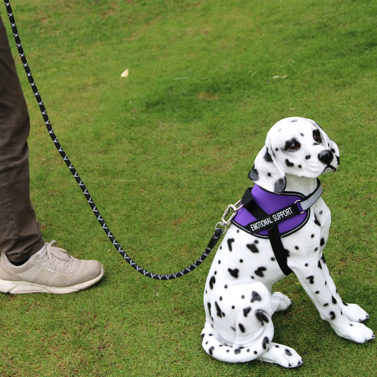 Correa para perro con mango acolchado cómodo e hilos altamente reflectantes, correa para perros de alta resistencia para perros grandes y medianos, 5 pies fuerte - imagen 5