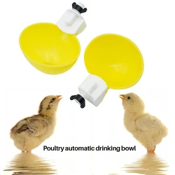 Bebedero colgante para pollos y patos – Fuente agua corral